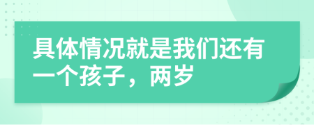 具体情况就是我们还有一个孩子，两岁