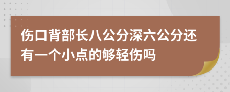 伤口背部长八公分深六公分还有一个小点的够轻伤吗