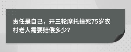 责任是自己，开三轮摩托撞死75岁农村老人需要赔偿多少？