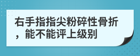 右手指指尖粉碎性骨折，能不能评上级别