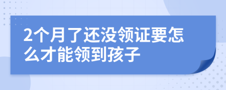 2个月了还没领证要怎么才能领到孩子