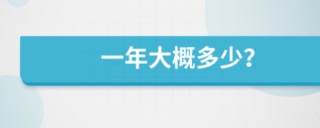 一年大概多少？
