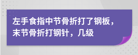 左手食指中节骨折打了钢板，末节骨折打钢针，几级