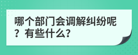 哪个部门会调解纠纷呢？有些什么？