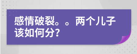 感情破裂。。两个儿子该如何分？