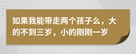 如果我能带走两个孩子么，大的不到三岁，小的刚刚一岁