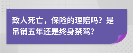 致人死亡，保险的理赔吗？是吊销五年还是终身禁驾？