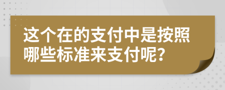 这个在的支付中是按照哪些标准来支付呢？