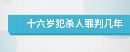 十六岁犯杀人罪判几年