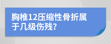 胸椎12压缩性骨折属于几级伤残？