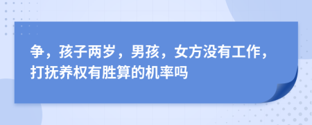 争，孩子两岁，男孩，女方没有工作，打抚养权有胜算的机率吗