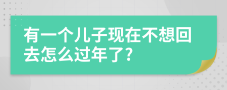 有一个儿子现在不想回去怎么过年了?