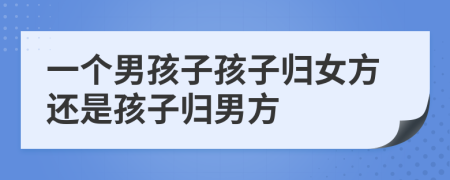 一个男孩子孩子归女方还是孩子归男方