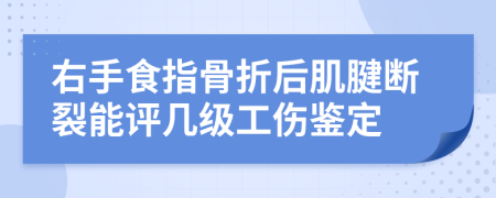 右手食指骨折后肌腱断裂能评几级工伤鉴定