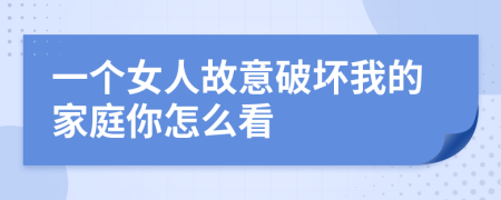 一个女人故意破坏我的家庭你怎么看