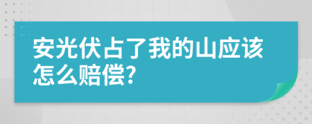 安光伏占了我的山应该怎么赔偿?