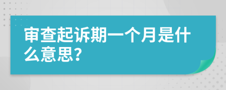 审查起诉期一个月是什么意思？