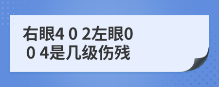 右眼4 0 2左眼0 0 4是几级伤残