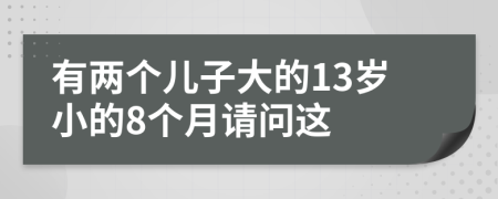 有两个儿子大的13岁小的8个月请问这