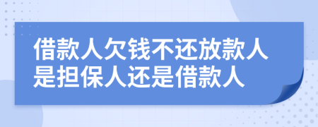 借款人欠钱不还放款人是担保人还是借款人