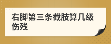 右脚第三条截肢算几级伤残