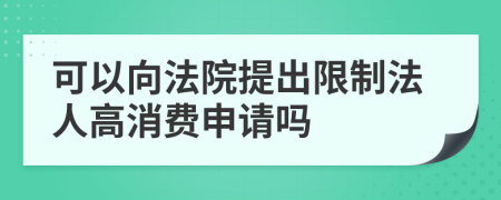 可以向法院提出限制法人高消费申请吗