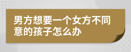 男方想要一个女方不同意的孩子怎么办