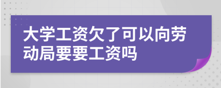 大学工资欠了可以向劳动局要要工资吗