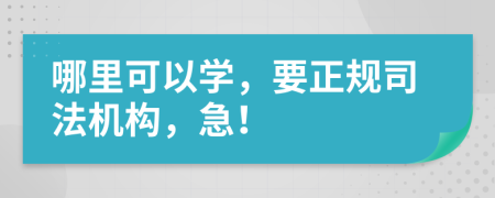 哪里可以学，要正规司法机构，急！