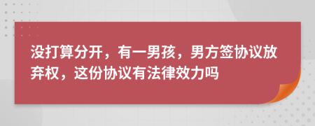 没打算分开，有一男孩，男方签协议放弃权，这份协议有法律效力吗