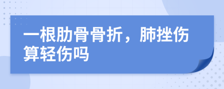 一根肋骨骨折，肺挫伤算轻伤吗