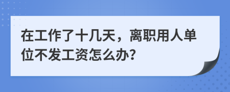 在工作了十几天，离职用人单位不发工资怎么办？