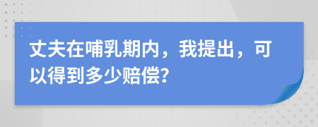 丈夫在哺乳期内，我提出，可以得到多少赔偿？