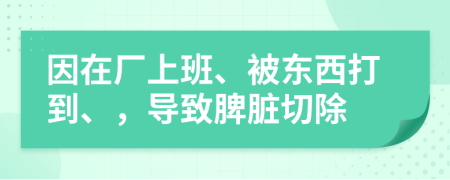 因在厂上班、被东西打到、，导致脾脏切除