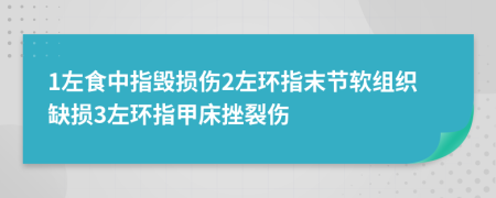 1左食中指毁损伤2左环指末节软组织缺损3左环指甲床挫裂伤