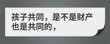 孩子共同，是不是财产也是共同的，