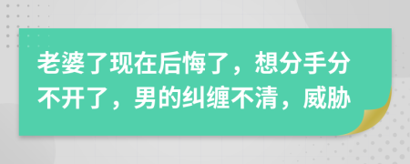 老婆了现在后悔了，想分手分不开了，男的纠缠不清，威胁