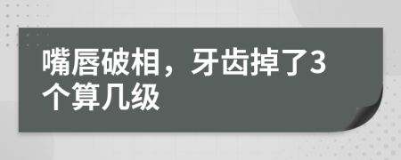 嘴唇破相，牙齿掉了3个算几级