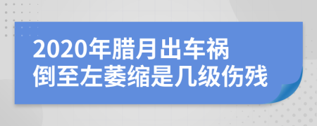 2020年腊月出车祸倒至左萎缩是几级伤残
