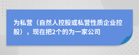 为私营（自然人控股或私营性质企业控股），现在把2个的为一家公司