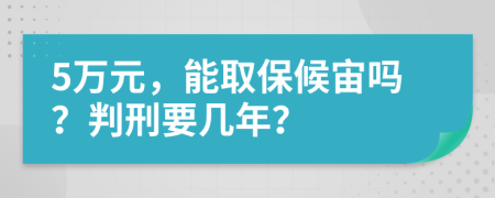 5万元，能取保候宙吗？判刑要几年？