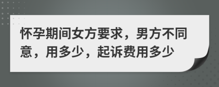 怀孕期间女方要求，男方不同意，用多少，起诉费用多少