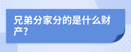 兄弟分家分的是什么财产?