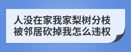 人没在家我家梨树分枝被邻居砍掉我怎么违权