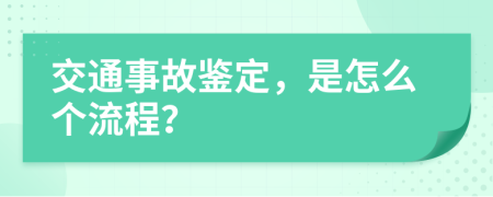 交通事故鉴定，是怎么个流程？