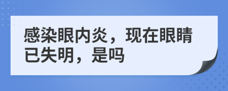 感染眼内炎，现在眼睛已失明，是吗