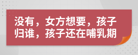 没有，女方想要，孩子归谁，孩子还在哺乳期