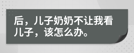 后，儿子奶奶不让我看儿子，该怎么办。