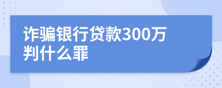 诈骗银行贷款300万判什么罪