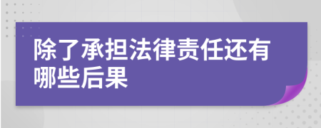 除了承担法律责任还有哪些后果